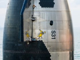 SpaceX Put A Banana Sticker On Its Starship. Heres Why