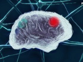 AI Model Detects Residual Brain Tumour In 10 Seconds, Offers Real-Time Guidance