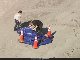 "Quite Disturbing": Human Head Found On Popular Tourist Beach In Florida