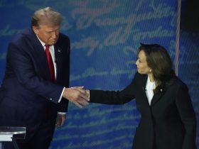 What Kamala Harris And Donald Trump Need To Win US Election